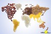 Báo cáo sơ bộ tình hình nhu cầu lương thực thực phẩm toàn cầu và tình hình phát triển nông nghiệp an ninh lương thực tại Việt Nam đến giữa năm 2024.