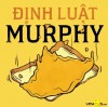 Đưa định luật Murphy vào quản trị kinh doanh và tư duy chiến lược doanh nghiệp.