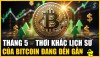 Thị Trường Cryptocurrency trong tháng 5/2025 diễn biến ra sao?