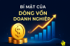 30 phương thức vận hành vốn, cuộc chơi của dòng tiền doanh nghiệp!