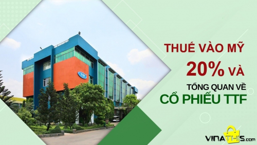 Tập đoàn Kỹ nghệ Gỗ Trường Thành (TTF) tương lai ra sao trước thuế vào mỹ 20%