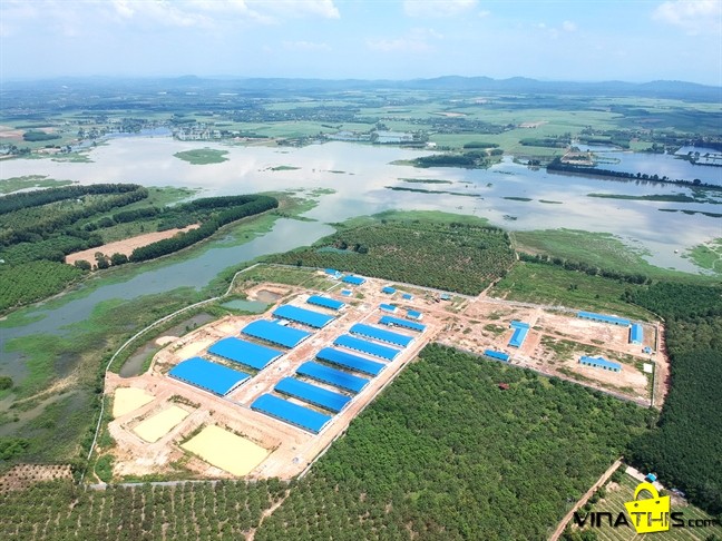 trang trại heo nuôi heo nái rộng lớn với quy mô chuồng trại gần 14.000 m2, được xây dựng sát bên hồ Trị An. Đây là vị trí nằm ngay trên đầu nguồn cấp nước của Đồng Nai và TP.HCM