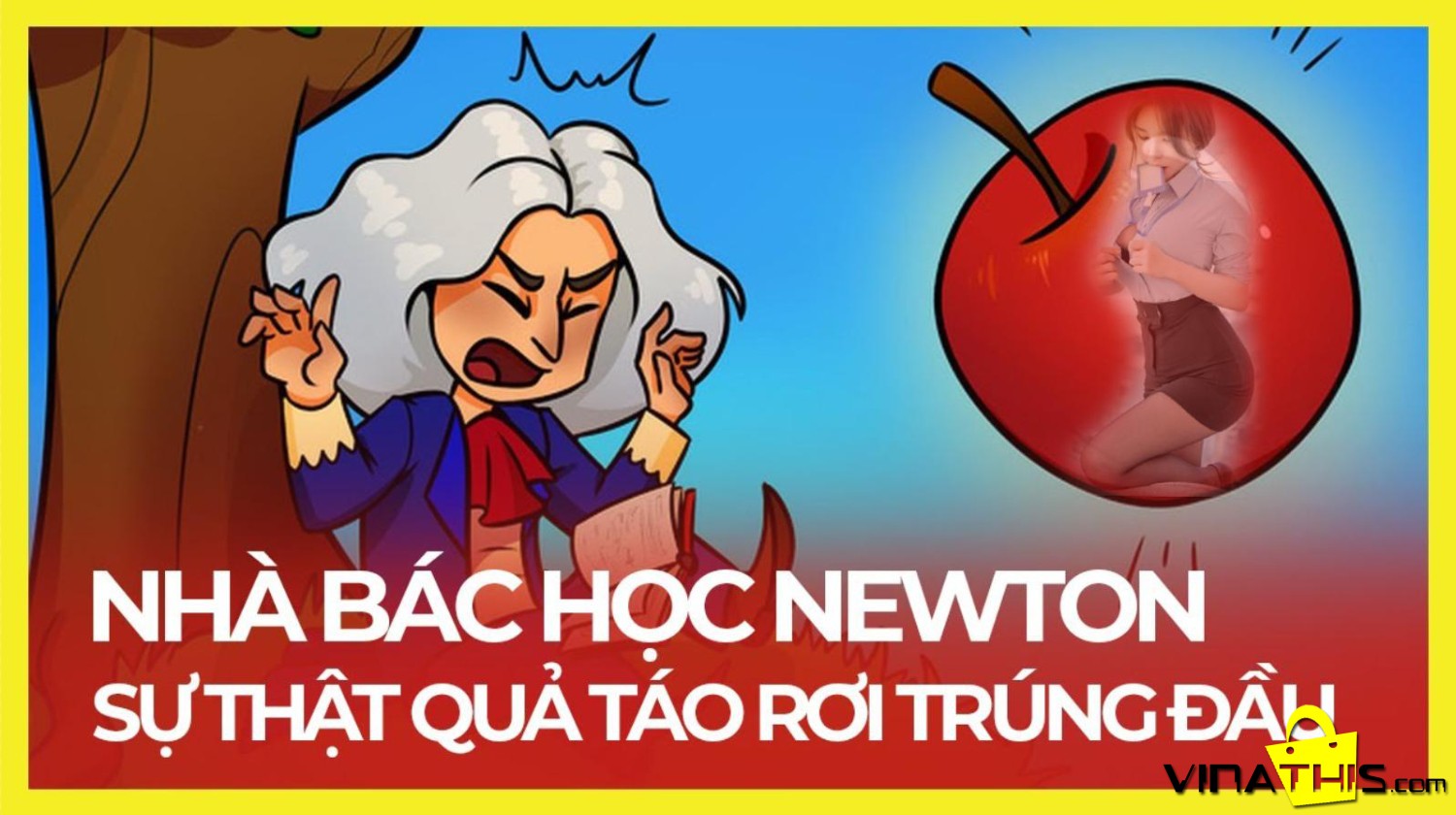qua tao newton