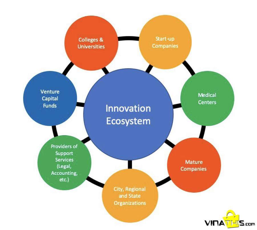 innovation ecosystem png?width=901