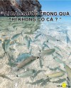 Ai bảo " nước trong quá thì không có cá " ?