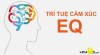 Rèn luyện thế nào để có EQ cao ?