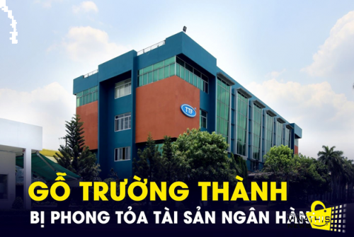 SỰ HỒI SINH CỦA "VUA GỖ" TRƯỜNG THÀNH (TTF): PHÂN TÍCH TÀI CHÍNH VÀ TRIỂN VỌNG CỔ PHIẾU TRƯỚC THỀM 2026