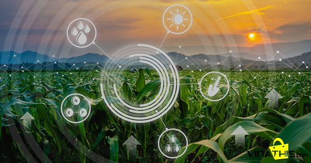 Mô hình Dự đoán trong Nông nghiệp - Azure FarmBeats của Microsoft