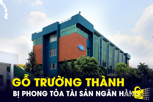 công ty gỗ Tường Thành - mã cp TTF