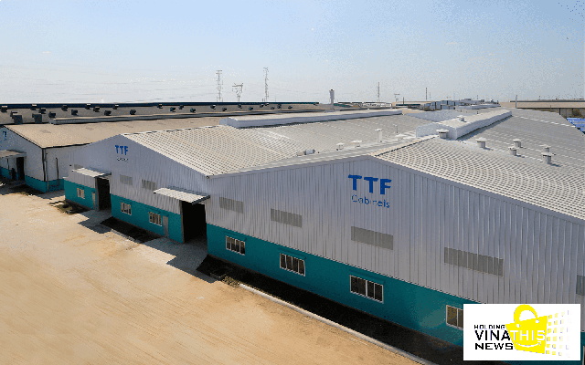 toàn cảnh nhà máy công ty gỗ trường thành - TTF